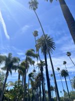 Beverly Hills &ndash; &copy; Andy Nguyen (Eberhardt TRAVEL)