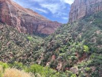 Zion Nationalpark &ndash; &copy; Andy Nguyen (Eberhardt TRAVEL)