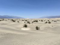 Death Valley &ndash; &copy; Andy Nguyen (Eberhardt TRAVEL)