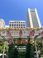 San Francisco - Union Square &ndash; &copy; Andy Nguyen (Eberhardt TRAVEL)