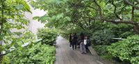 97 High Line in Manhattan &ndash; &copy; Susanne Schirmann (Eberhardt TRAVEL)