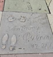 Hollywood Blvd &ndash; &copy; Katrin Jähne (Eberhardt TRAVEL)