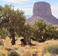 Monument Valley &ndash; &copy; Katrin Jähne (Eberhardt TRAVEL)