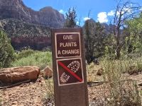 Zion Nationalpark &ndash; &copy; Katrin Jähne (Eberhardt TRAVEL)