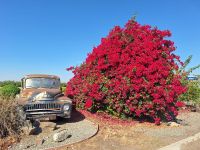 Reiseimpressionen &ndash; &copy; Katrin Jähne (Eberhardt TRAVEL)