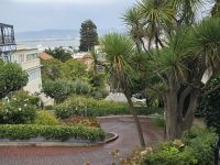Lombard Street &ndash; &copy; Katrin Jähne (Eberhardt TRAVEL)