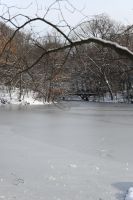 New York City - Central Park (7) &ndash; &copy; Franziska Barthel (Eberhardt TRAVEL)