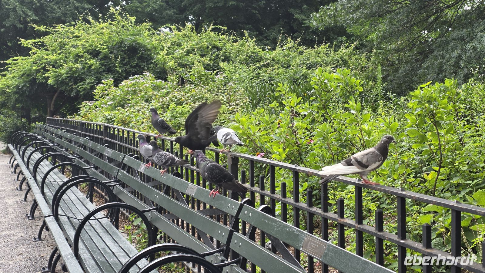 021 - New York City &ndash; &copy; Vivien Fiedler (Eberhardt TRAVEL)
