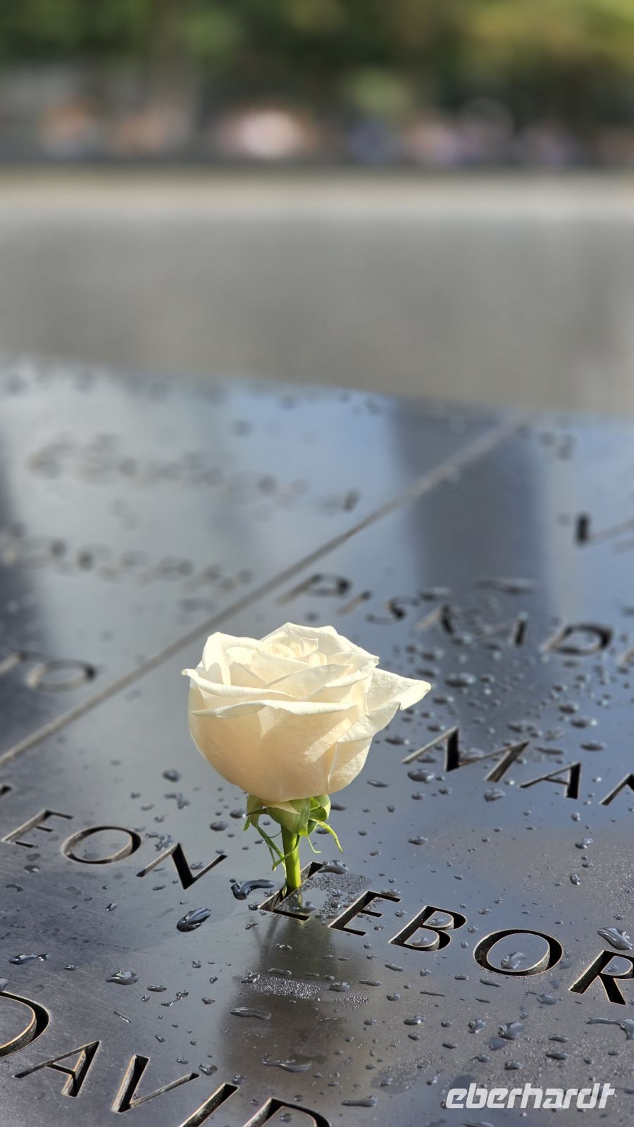 058  - New York City &ndash; &copy; Vivien Fiedler (Eberhardt TRAVEL)