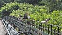 021 - New York City &ndash; &copy; Vivien Fiedler (Eberhardt TRAVEL)