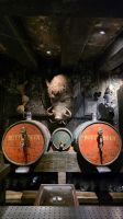 207 - Universal Studios Orlando, Florida