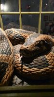 230 - Universal Studios Orlando, Florida &ndash; &copy; Vivien Fiedler (Eberhardt TRAVEL)