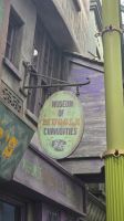 245 - Universal Studios Orlando, Florida &ndash; &copy; Vivien Fiedler (Eberhardt TRAVEL)