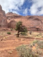 Monument Valley &ndash; &copy; Thomas Krupp (Eberhardt TRAVEL)