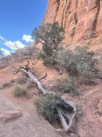 Devils Garden &ndash; &copy; Thomas Krupp (Eberhardt TRAVEL)