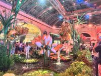 Las Vegas &ndash; &copy; Thomas Krupp (Eberhardt TRAVEL)