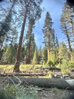 Yosemite N.P. &ndash; &copy; Thomas Krupp (Eberhardt TRAVEL)