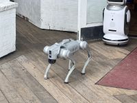 Robo-Wachhund &ndash; &copy; Thomas Krupp (Eberhardt TRAVEL)