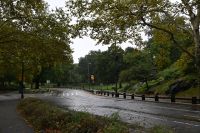 Tag 2 - New York City - Central Park (1) &ndash; &copy; Franziska Barthel (Eberhardt TRAVEL)