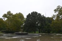 Tag 2 - New York City - Central Park (3) &ndash; &copy; Franziska Barthel (Eberhardt TRAVEL)