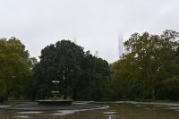 Tag 2 - New York City - Central Park (5) &ndash; &copy; Franziska Barthel (Eberhardt TRAVEL)