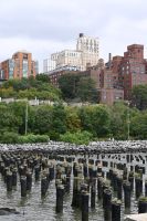 Tag 4 - New York City - Brooklyn &ndash; &copy; Franziska Barthel (Eberhardt TRAVEL)
