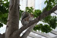 Tag 4 - New York City (20) &ndash; &copy; Franziska Barthel (Eberhardt TRAVEL)