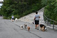 Tag 4 - New York City (49) &ndash; &copy; Franziska Barthel (Eberhardt TRAVEL)