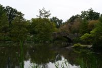 Tag 6 - New York City - Central Park (2) &ndash; &copy; Franziska Barthel (Eberhardt TRAVEL)