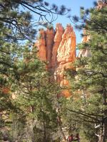 Bryce Canyon &ndash; &copy; Sylvia Sann (Eberhardt TRAVEL)