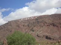 Calico &ndash; &copy; Sylvia Sann (Eberhardt TRAVEL)