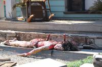 Los Angeles - Universal Studiotour - Psycho Horror Szenerie &ndash; &copy; Kristin Weigel (Eberhardt TRAVEL)