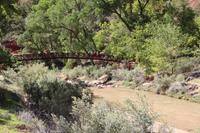 Spaziergang im Zion-Nationalpark &ndash; &copy; Kristin Weigel (Eberhardt TRAVEL)