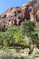 Spaziergang im Zion-Nationalpark &ndash; &copy; Kristin Weigel (Eberhardt TRAVEL)