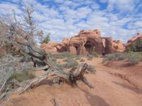Arches Nationalpark &ndash; &copy; Anne Sturm (Eberhardt TRAVEL)