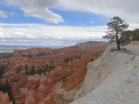 Bryce Canyon &ndash; &copy; Anne Sturm (Eberhardt TRAVEL)