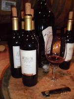 Weingut in Napa Valley &ndash; &copy; Anne Sturm (Eberhardt TRAVEL)