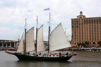 Savannah &ndash; &copy; Astrid Kunath (Eberhardt TRAVEL)