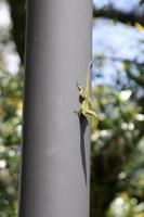 Heimische Fauna &ndash; &copy; Astrid Kunath (Eberhardt TRAVEL)