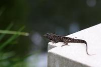 Heimische Fauna &ndash; &copy; Astrid Kunath (Eberhardt TRAVEL)