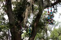 Park in New Orleans &ndash; &copy; Astrid Kunath (Eberhardt TRAVEL)