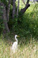 Everglades-Nationalpark &ndash; &copy; Astrid Kunath (Eberhardt TRAVEL)