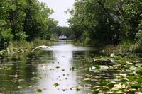 Everglades-Nationalpark &ndash; &copy; Astrid Kunath (Eberhardt TRAVEL)