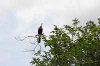 Everglades-Nationalpark &ndash; &copy; Astrid Kunath (Eberhardt TRAVEL)
