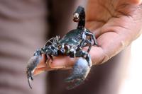 Everglades-Nationalpark &ndash; &copy; Astrid Kunath (Eberhardt TRAVEL)