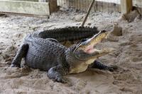 Everglades-Nationalpark &ndash; &copy; Astrid Kunath (Eberhardt TRAVEL)