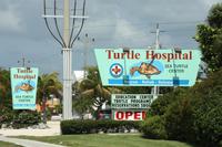 Fahrt nach Key West &ndash; &copy; Astrid Kunath (Eberhardt TRAVEL)