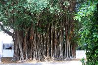 Key West &ndash; &copy; Astrid Kunath (Eberhardt TRAVEL)