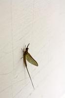 Heimische Fauna &ndash; &copy; Astrid Kunath (Eberhardt TRAVEL)