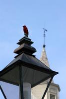 Williamsburg &ndash; &copy; Astrid Kunath (Eberhardt TRAVEL)